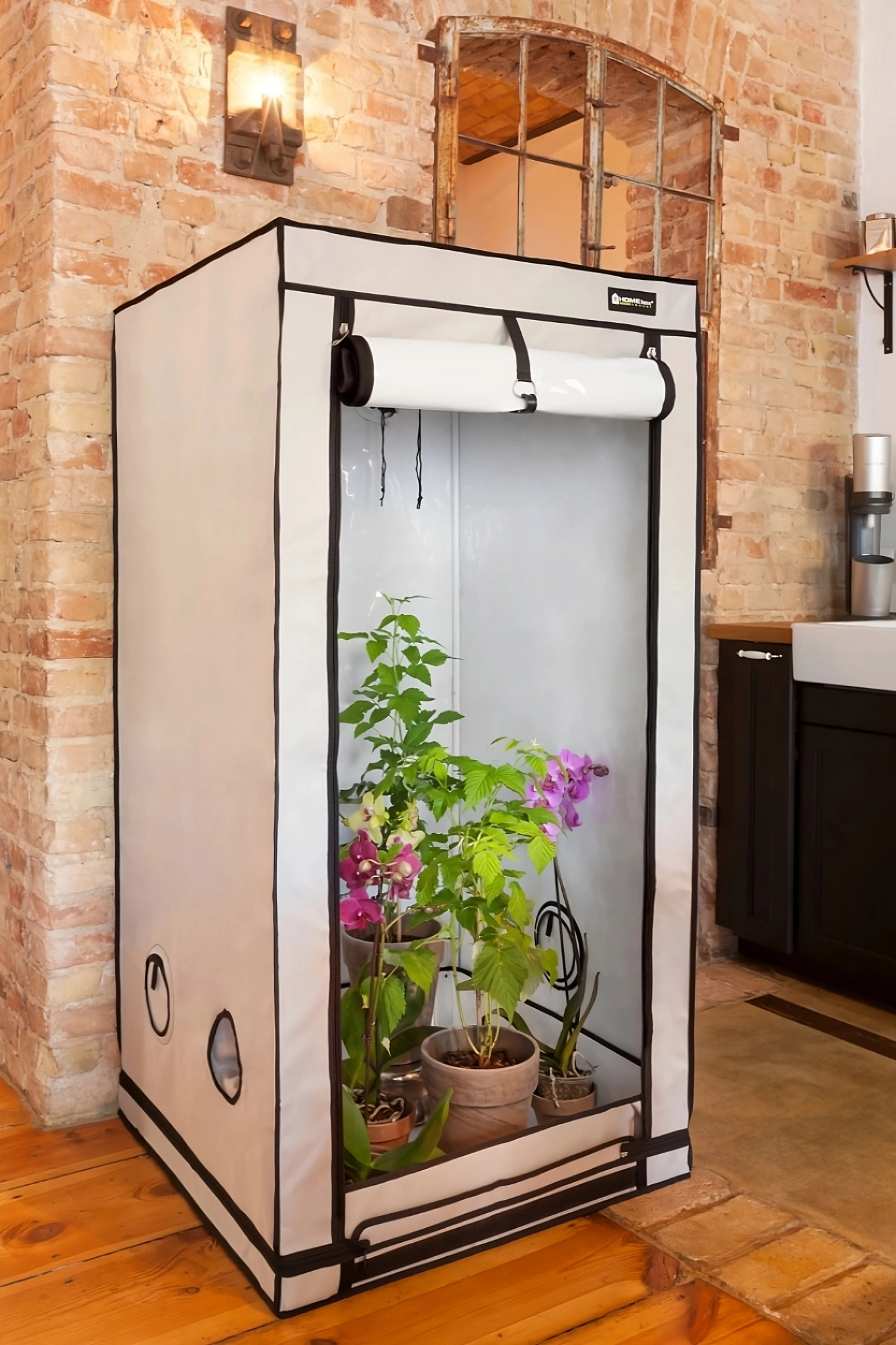 Göffnete Growbox der Marke Homebox - Grow Komplett Set