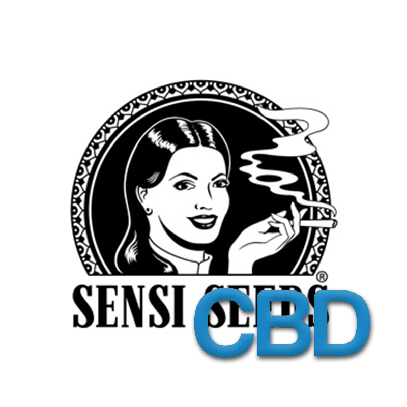 CBD Samen