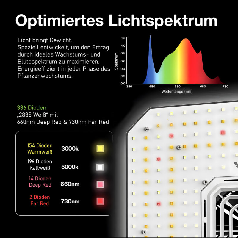 Optimiertes_Licht.jpg