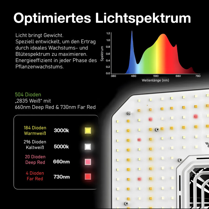 Optimiertes_Licht_80ers.jpg