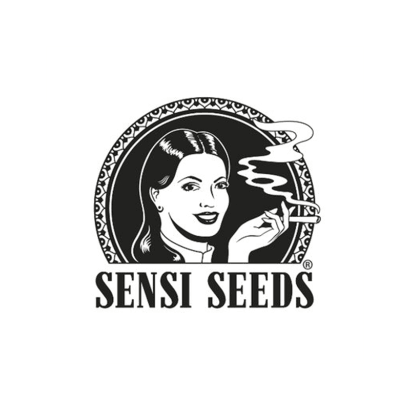 Sensi Seeds