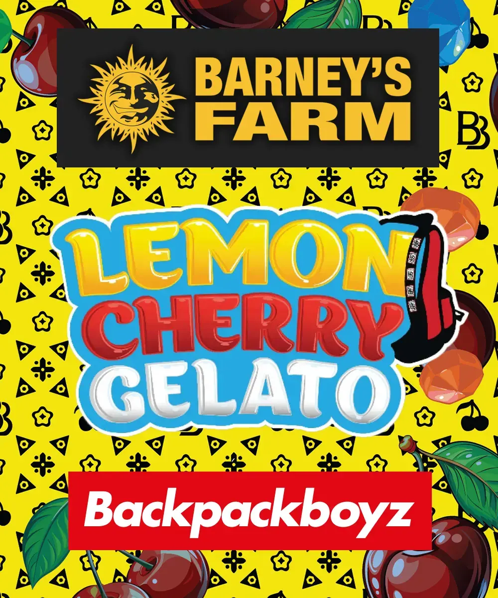 Lemon Cherry Gelato, 3Stk Feminisiert, Barney’s Farm __lemon-cherry-gelato_circle_new_21_586913.webp