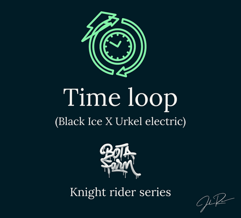 Time Loop, 5Stk Feminisiert, Botafarm d073d3_2a0d9e36135c4bde9128b415c094fcea~mv2.png