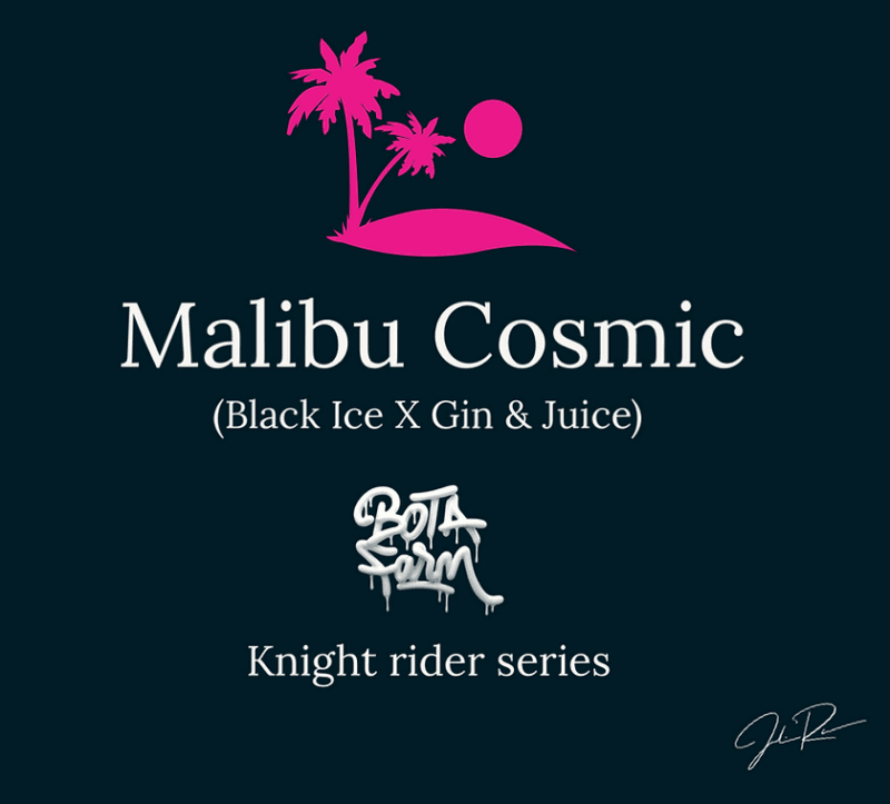 Malibu Cosmic, 5Stk Feminisiert, Botafarm d073d3_ba2b954c92ef456f954a7baae8190ceb~mv2.png