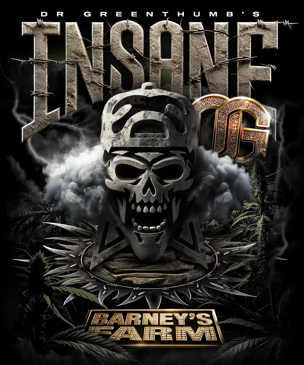 Insane OG, 3Stk Feminisiert, Barney’s Farm __insane-og_circle_new_21_112834.webp