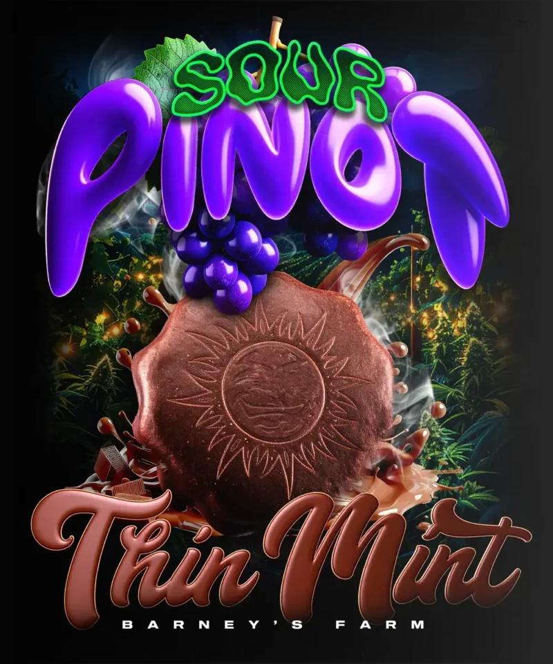 __thin-mint-x-sour-pinot-auto_circle_new_21_627275.webp