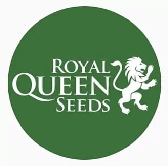 Royal Queen Seeds
