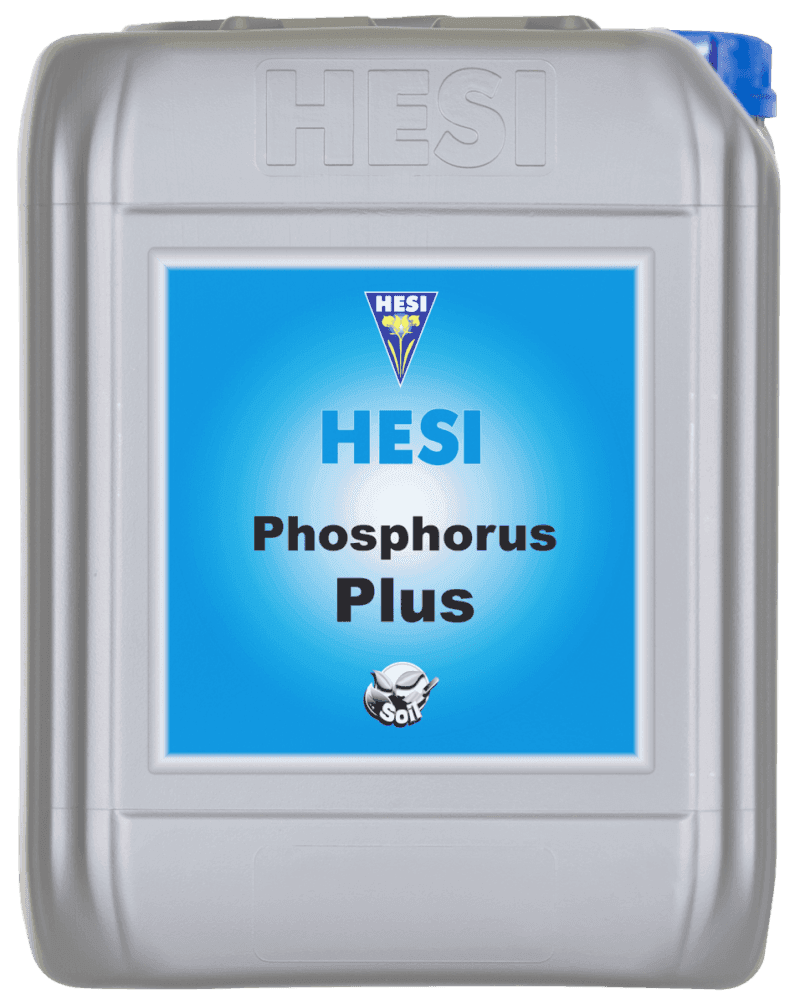 Phosphorus Plus 10L.png