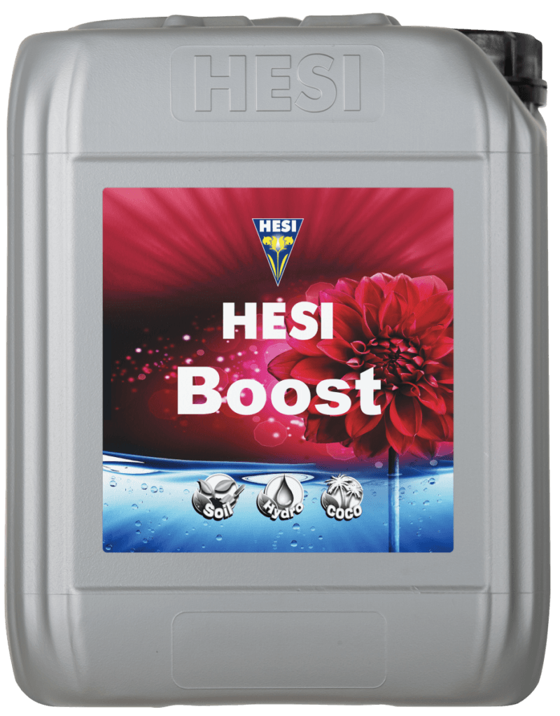 Boost 5L.png