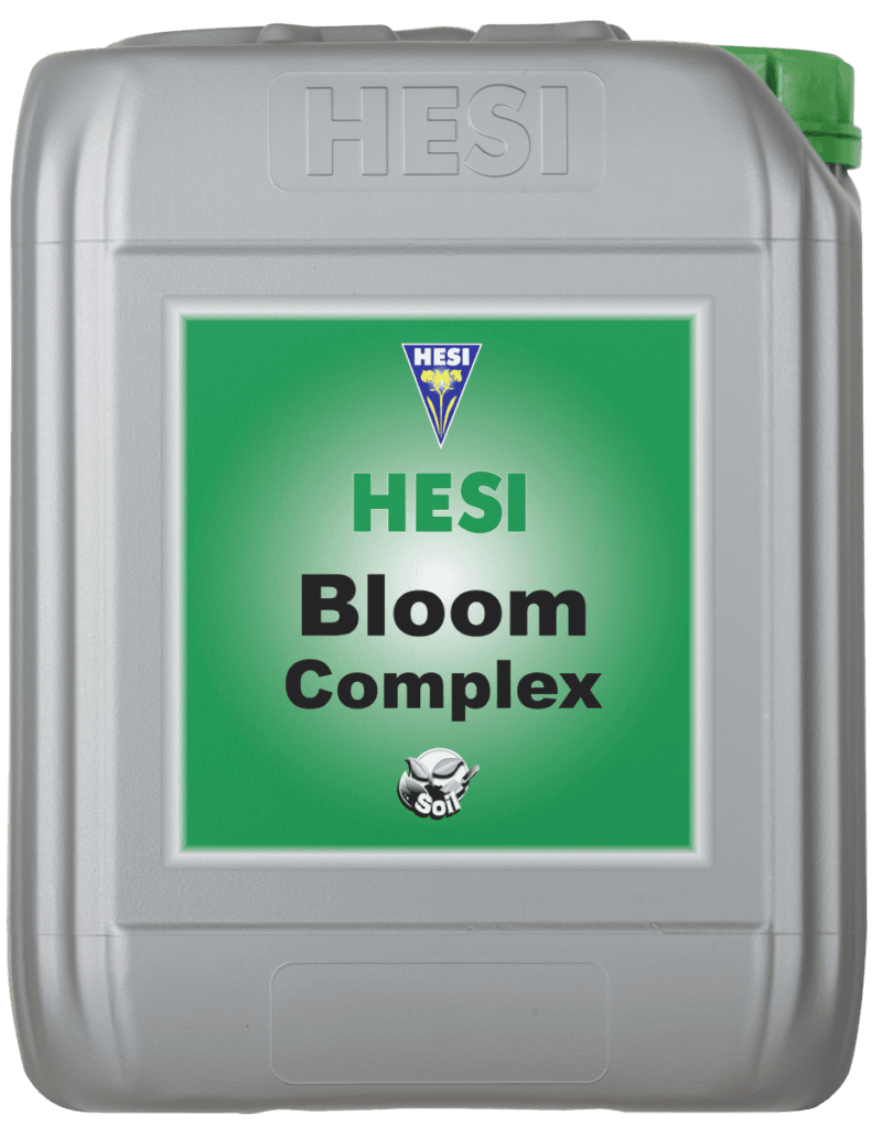 Bloom Complex 5L.png