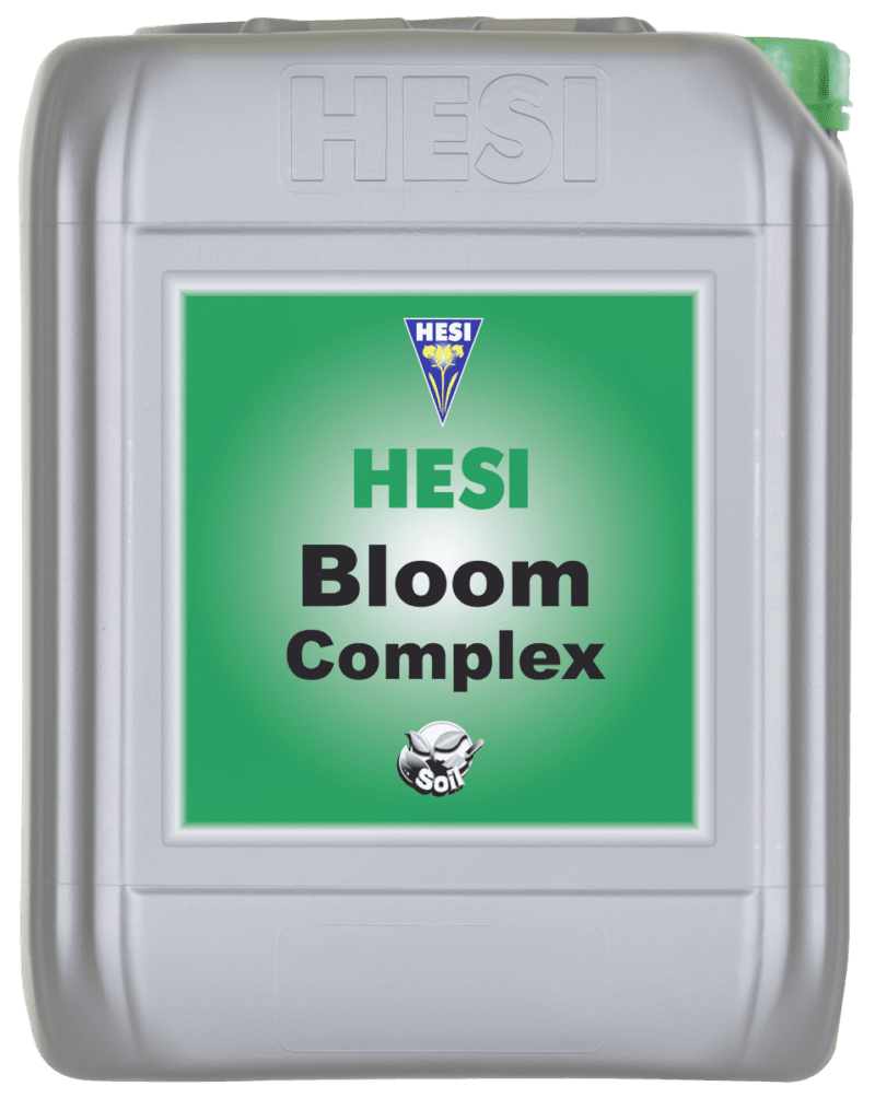 Bloom Complex 10L.png