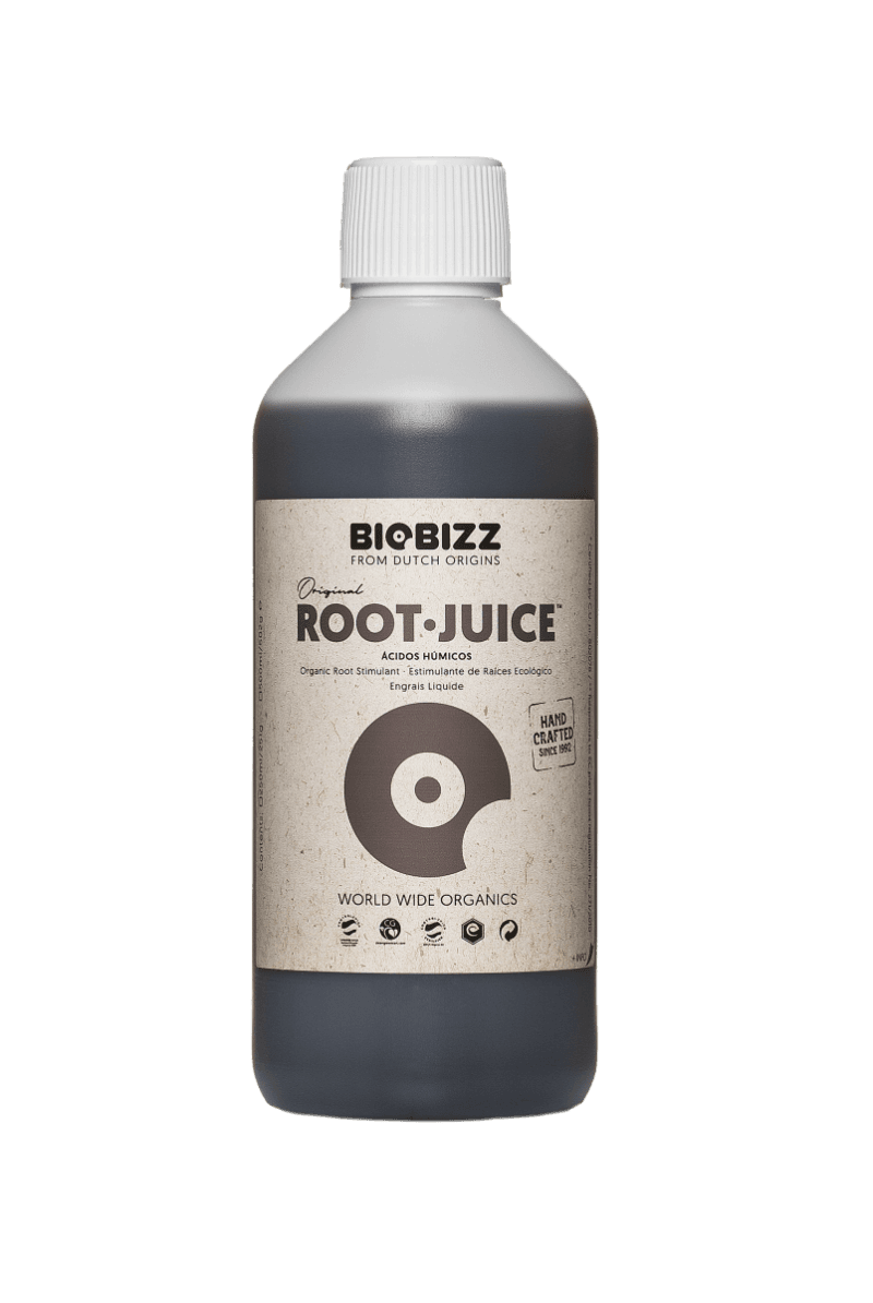 500ml_Root Juice