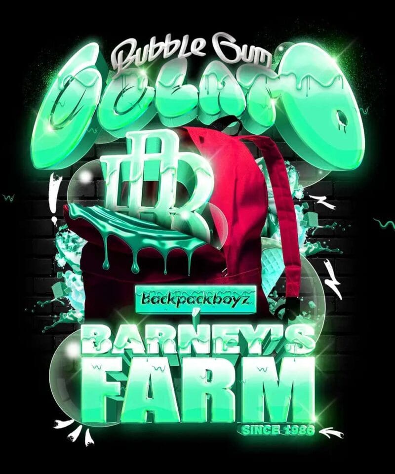 BubblegumGelato_3StkFeminisiert_BarneysFarm-1