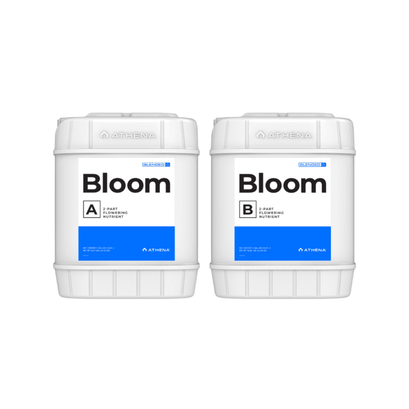 Athena Bloom A & B 5G