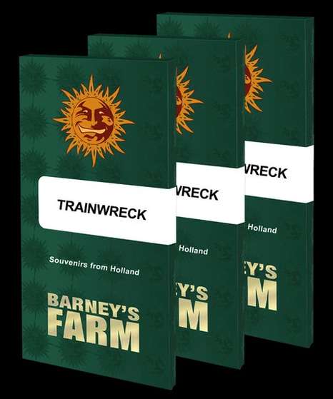 trainwreck-fem-3-stk-barney-s-farm__baf-f-trw-3__01.webp