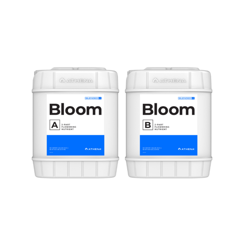 Athena Bloom A & B 5G