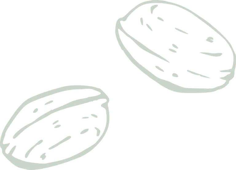 Cannabisseeds Konuren